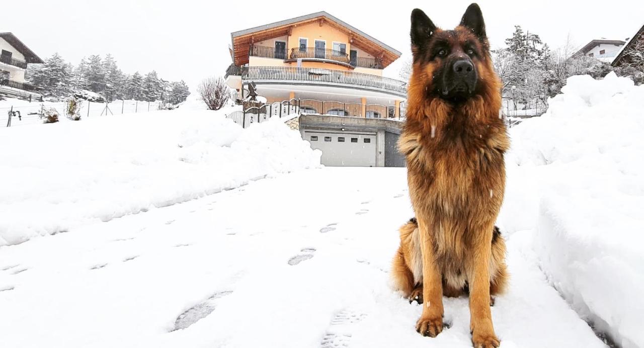 Affittacamere Dolce Sogno Coredo Exteriér fotografie