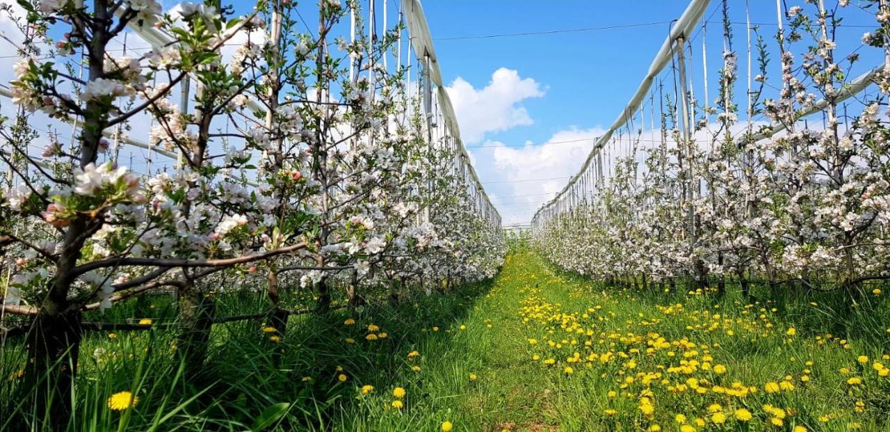 Affittacamere Dolce Sogno Coredo Exteriér fotografie
