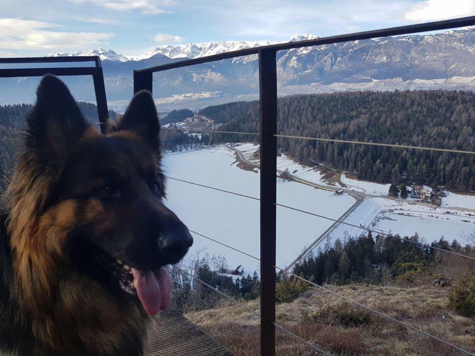 Affittacamere Dolce Sogno Coredo Exteriér fotografie
